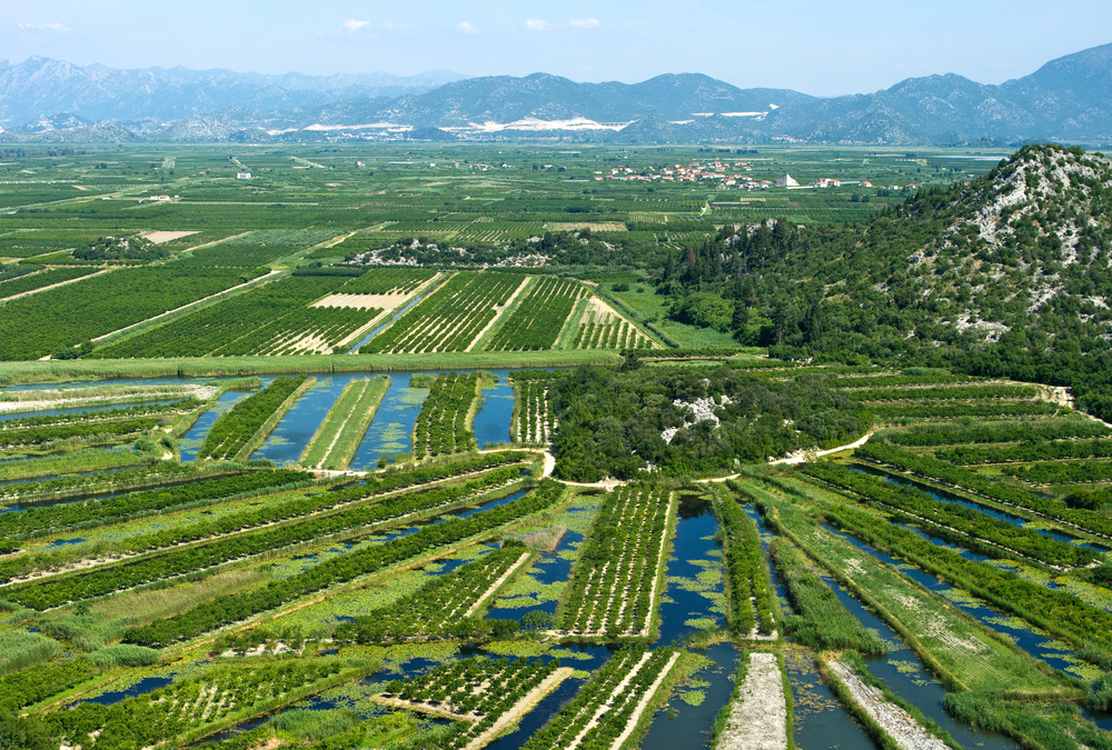 agricultural land