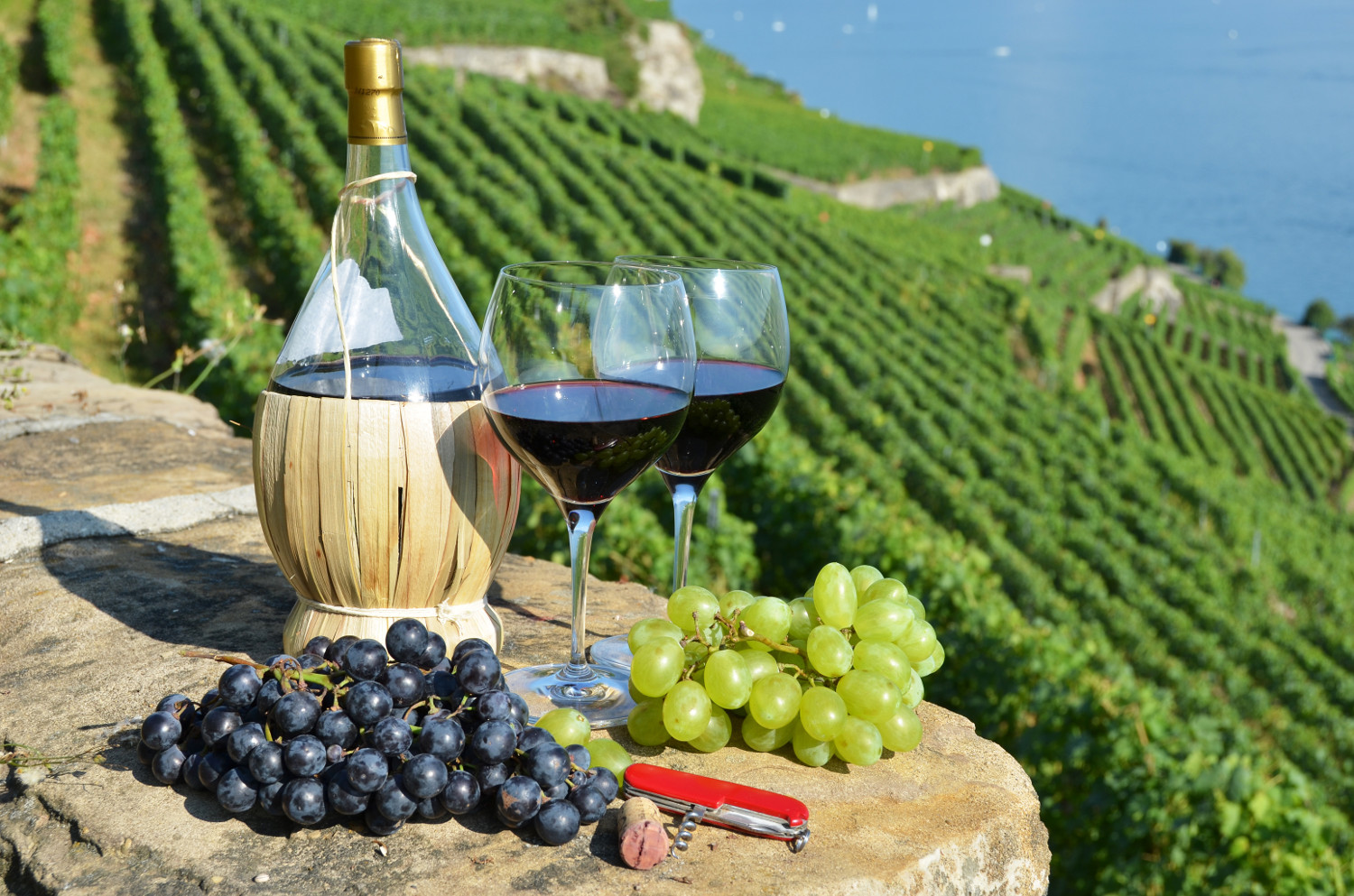 wine tour vacations